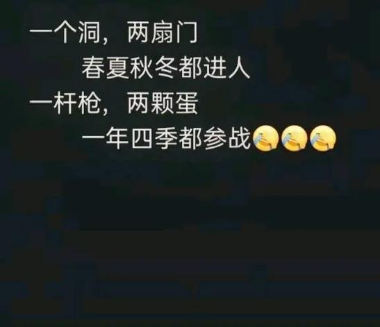 提枪直入两扇门视频：提高效率的专业工具