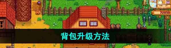 星露谷物语背包怎么升级-背包升级方法