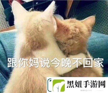 “妈妈说-今晚爸不归巢”