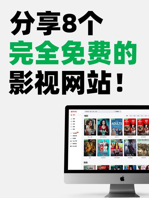 一款提供高清电影资源免费观看的系统
