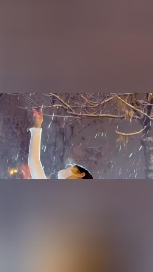雪舞翩跹：雪人的独特舞蹈动作揭秘