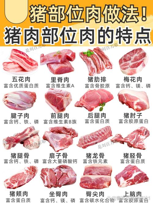 小森生活：探索猪肉的获取途径与秘诀