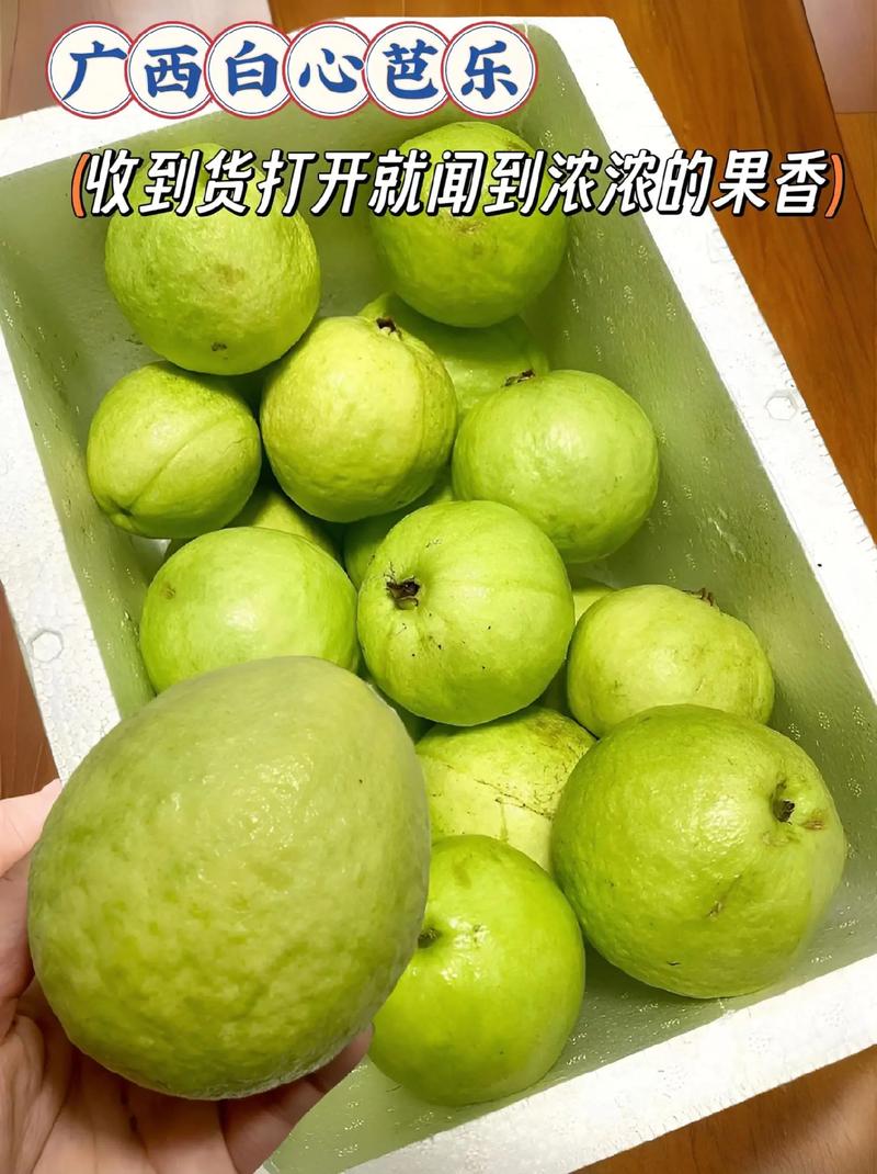 新鲜采摘的丝瓜草莓榴莲芭乐污 18 岁，香甜多汁，口感细腻，富含维生素和纤维素，是您健康生活的好选择