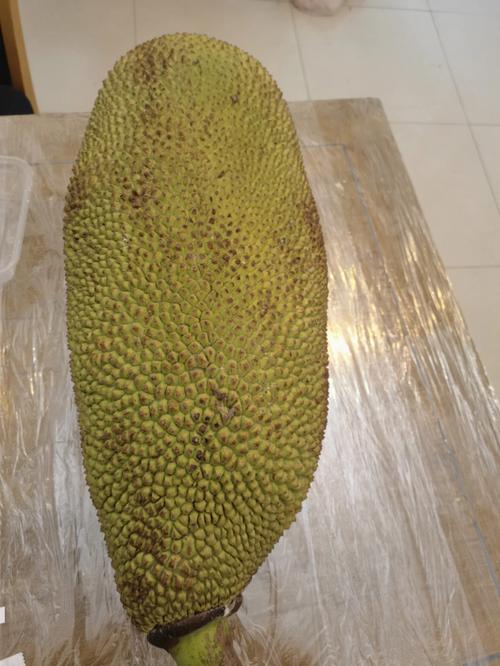 菠萝蜜视频在线菠萝蜜视频观看，精选高清画质，畅享无广告观看体验，让你一次看个够