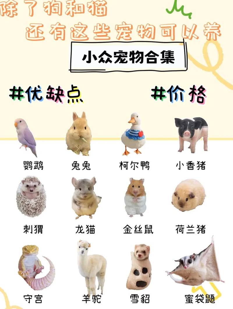 雪域宠途：揭秘宠物选择在寒冷地域的生活优势与特殊品种考量