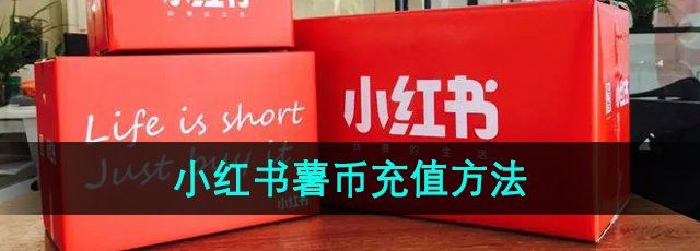 小红书怎么充值薯币-薯币充值方法