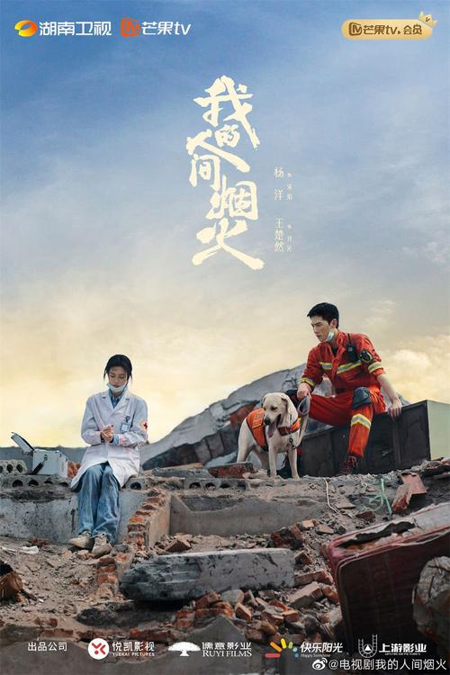 《我的人间烟火豆瓣开分41分：背后的故事与解读》