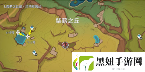原神5.1灼灼彩菊在哪刷新-灼灼彩菊怎么快速找到