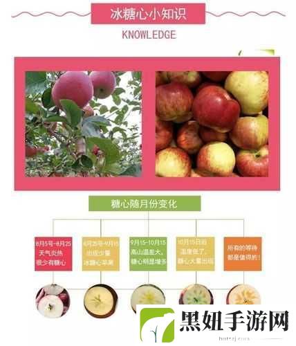 精产国品一二三产区糖心，1. 精产国品一二三产区糖心的全面解析