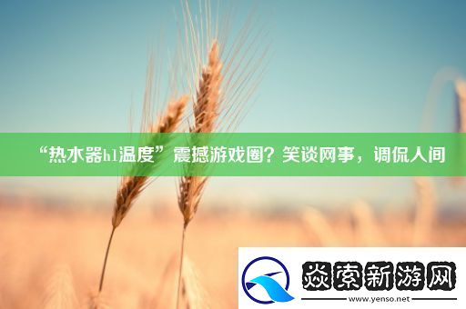 “热水器h1温度”震撼游戏圈-笑谈网事-调侃人间