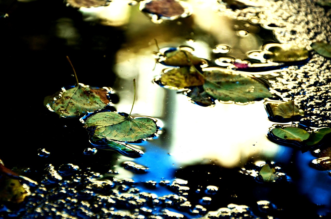 心悦时间煮雨78号束艺: 让每一刻都充满诗意与灵感