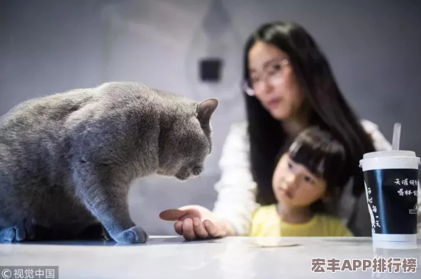 白猫计划梦幻许愿全攻略：解锁心愿池奥秘-高效祈愿技巧大公开