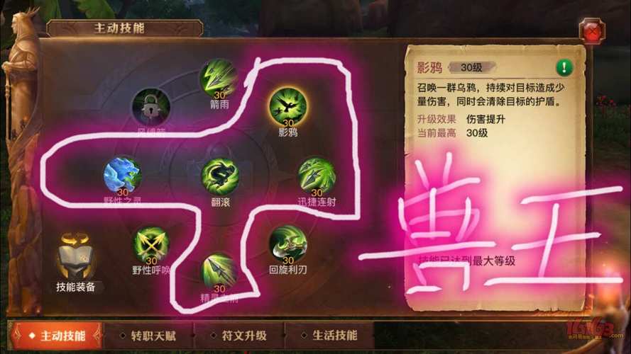 光明大陆兽群领袖攻略大全:领袖玩法深度解析与实战指南