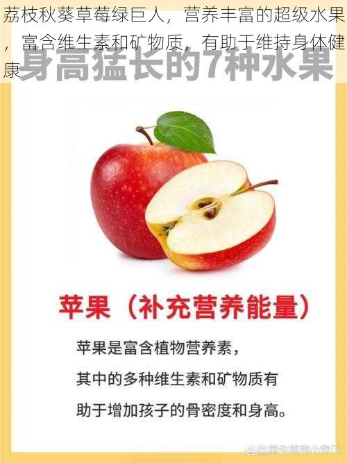 荔枝秋葵草莓绿巨人，营养丰富的超级水果，富含维生素和矿物质，有助于维持身体健康