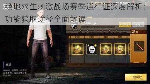 绝地求生刺激战场赛季通行证深度解析：功能获取途径全面解读