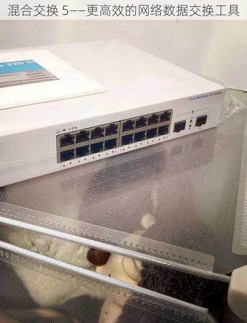 混合交换 5——更高效的网络数据交换工具