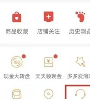 《拼多多》申请平台介入方法