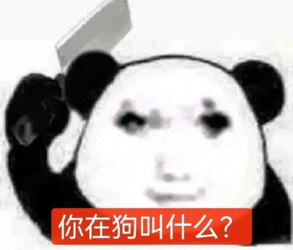 揭秘流行梗源：表情包‘你在狗叫什么’背后的故事与意义
