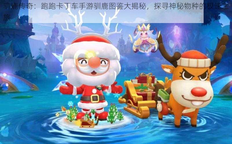驯鹿传奇：跑跑卡丁车手游驯鹿图鉴大揭秘，探寻神秘物种的极速之旅