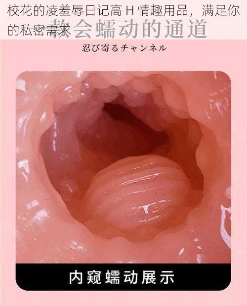 校花的凌羞辱日记高 H 情趣用品，满足你的私密需求