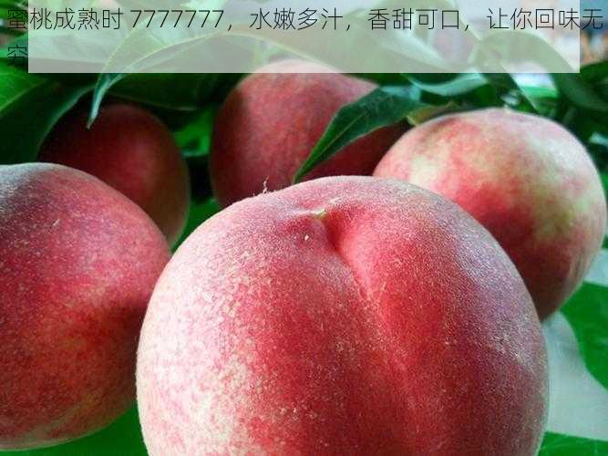 蜜桃成熟时 7777777，水嫩多汁，香甜可口，让你回味无穷