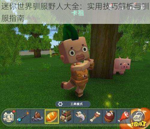 迷你世界驯服野人大全:实用技巧解析与驯服指南