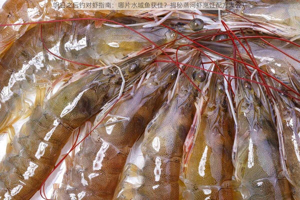 明日之后钓对虾指南：哪片水域鱼获佳？揭秘蒸河虾烹饪配方大公开