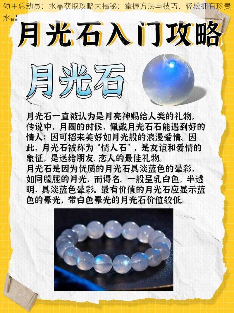 领主总动员：水晶获取攻略大揭秘：掌握方法与技巧，轻松拥有珍贵水晶