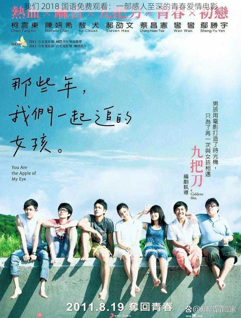 我们 2018 国语免费观看：一部感人至深的青春爱情电影