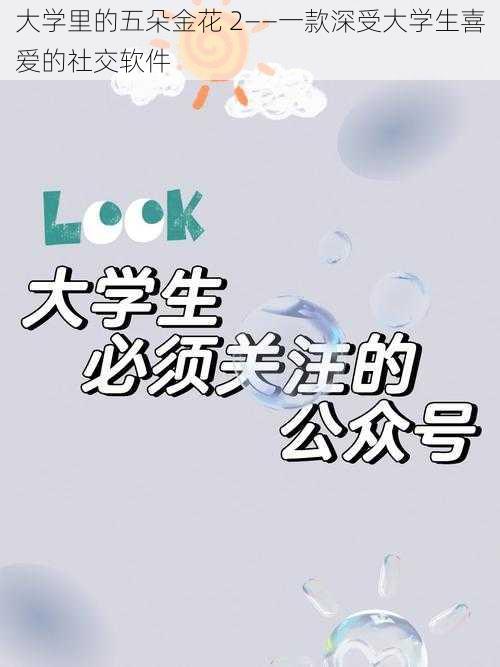 大学里的五朵金花 2——一款深受大学生喜爱的社交软件