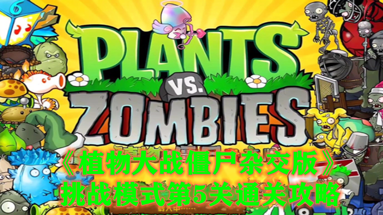 植物大战僵尸杂交版挑战模式第五关怎么过-植物大战僵尸杂交版挑战模式第5关通关攻略