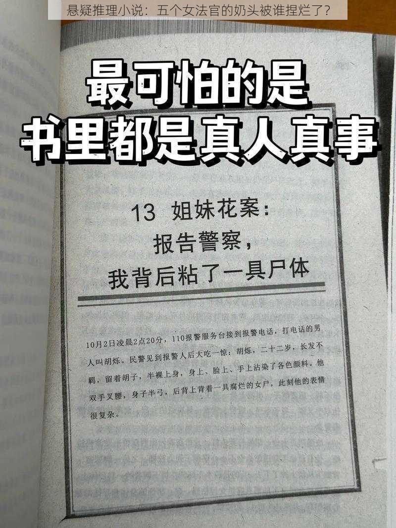 悬疑推理小说:五个女法官的奶头被谁捏烂了?