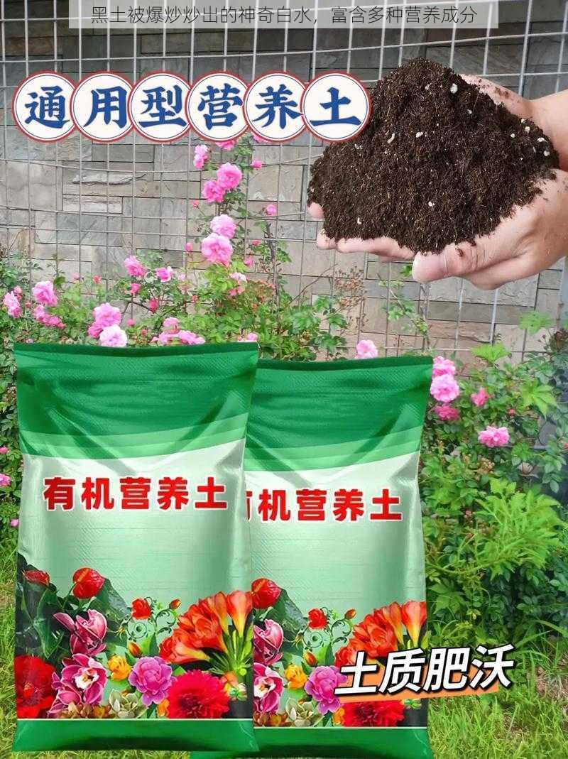 黑土被爆炒炒出的神奇白水，富含多种营养成分