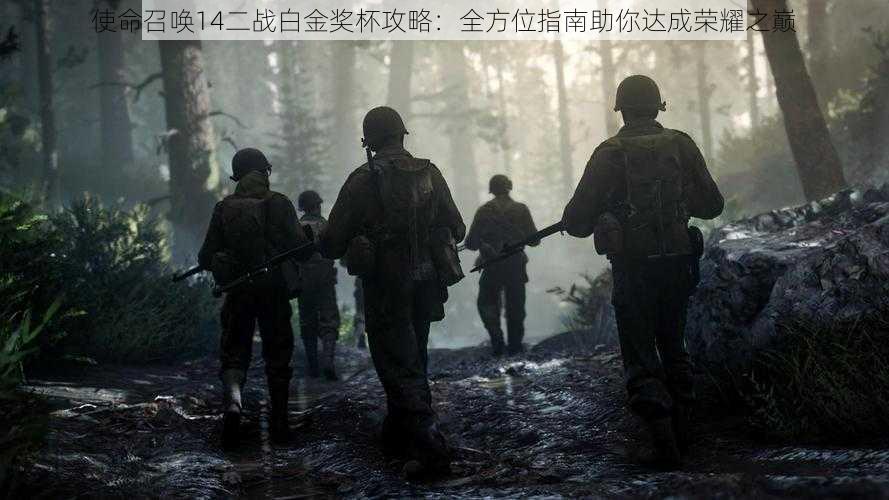 使命召唤14二战白金奖杯攻略：全方位指南助你达成荣耀之巅