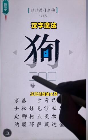 汉字魔法猜猜是什么狗怎么过-猜猜是什么狗通关攻略
