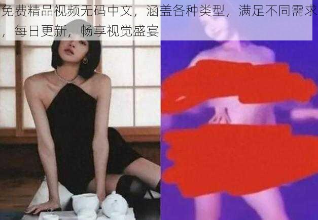 免费精品视频无码中文，涵盖各种类型，满足不同需求，每日更新，畅享视觉盛宴