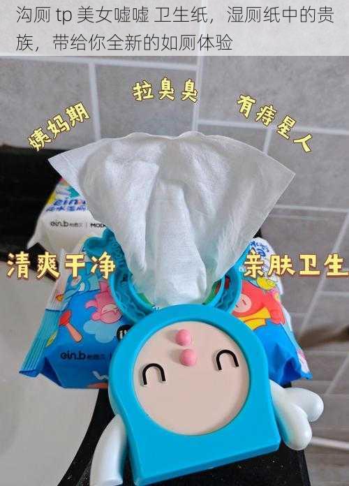 沟厕 tp 美女嘘嘘 卫生纸，湿厕纸中的贵族，带给你全新的如厕体验