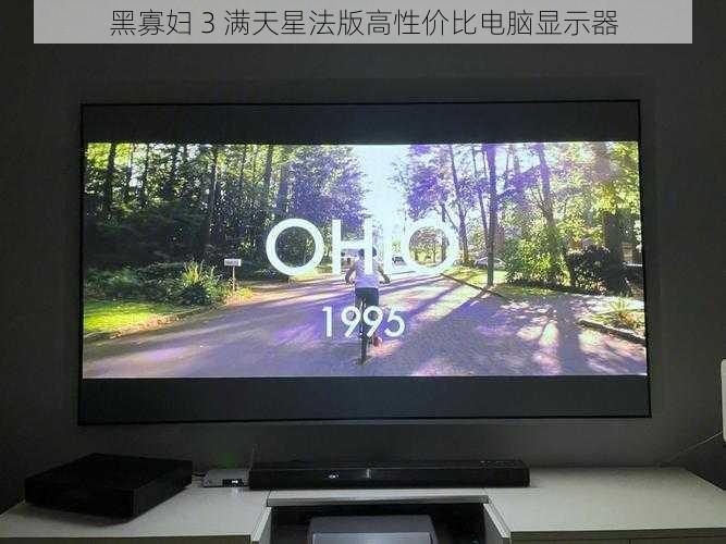 黑寡妇 3 满天星法版高性价比电脑显示器
