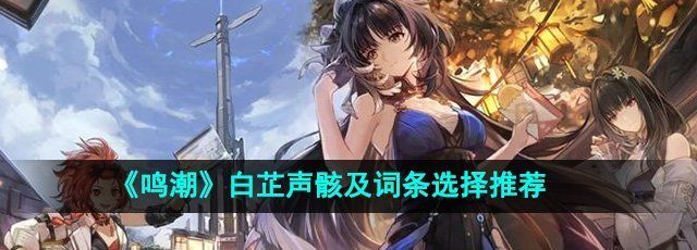 鸣潮手游白芷声骸选哪个好-白芷声骸及词条选择推荐