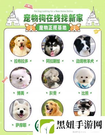 萌宠养成物语qq群
