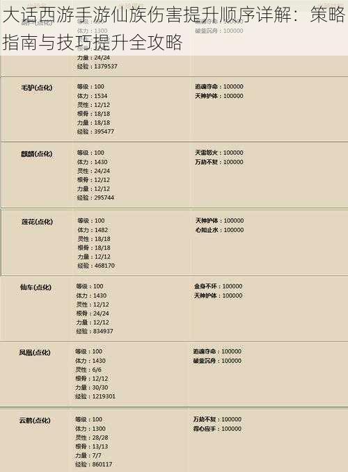 大话西游手游仙族伤害提升顺序详解:策略指南与技巧提升全攻略