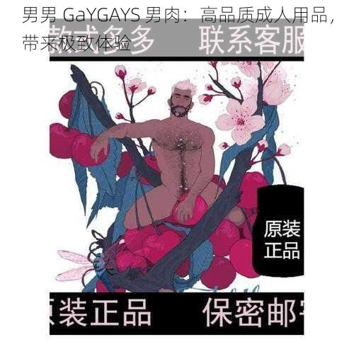 男男 GaYGAYS 男肉：高品质成人用品，带来极致体验