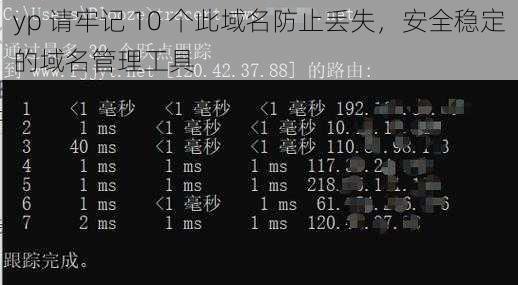 yp 请牢记 10 个此域名防止丢失，安全稳定的域名管理工具