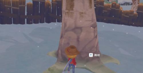 波西亚时光水果沙拉怎么制作