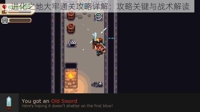 进化之地大牢通关攻略详解：攻略关键与战术解读
