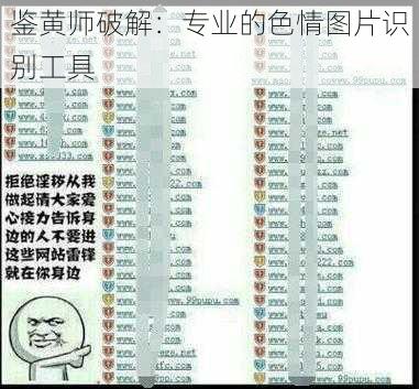鉴黄师破解:专业的**图片识别工具
