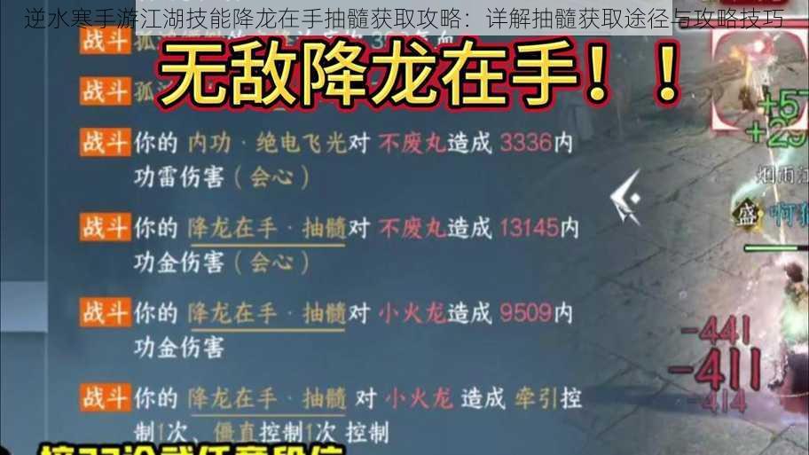逆水寒手游江湖技能降龙在手抽髓获取攻略:详解抽髓获取途径与攻略技巧