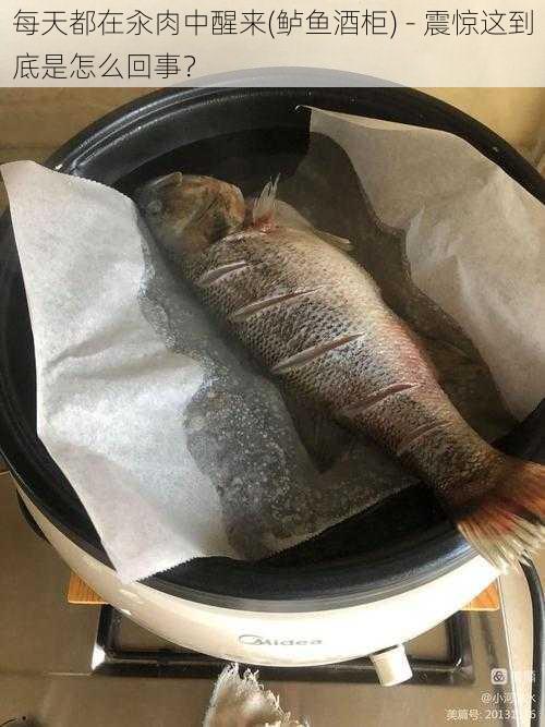 每天都在汆肉中醒来(鲈鱼酒柜) - 震惊这到底是怎么回事?