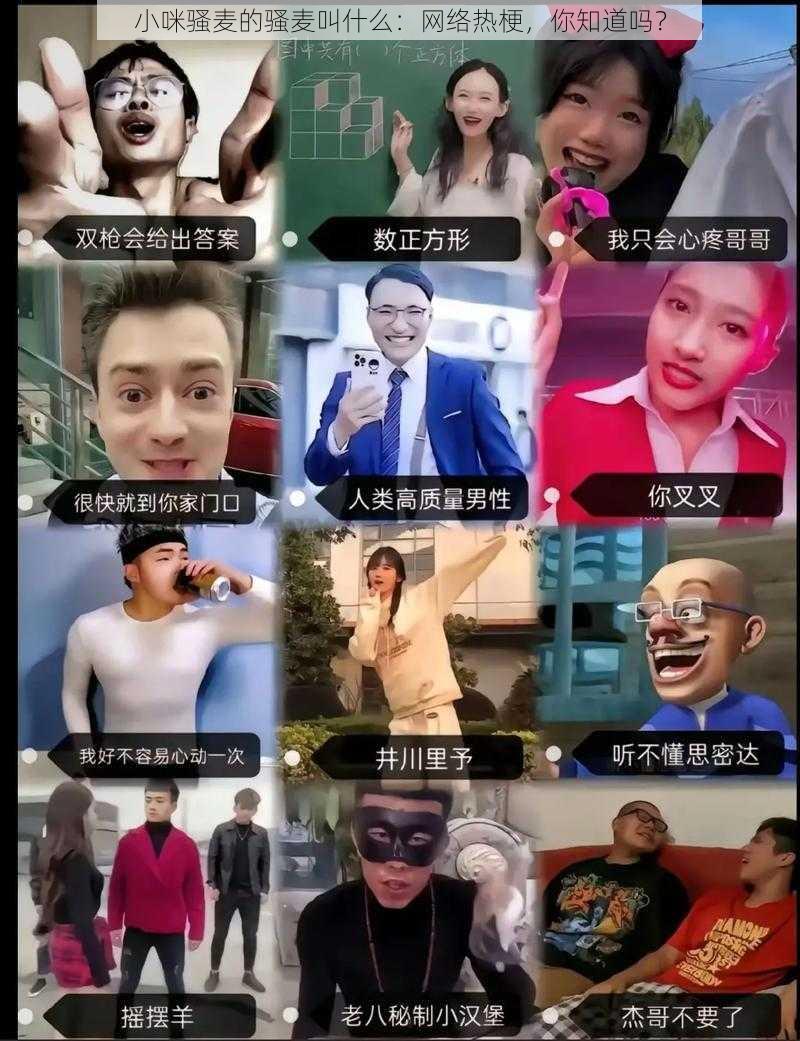 小咪骚麦的骚麦叫什么:网络热梗,你知道吗?