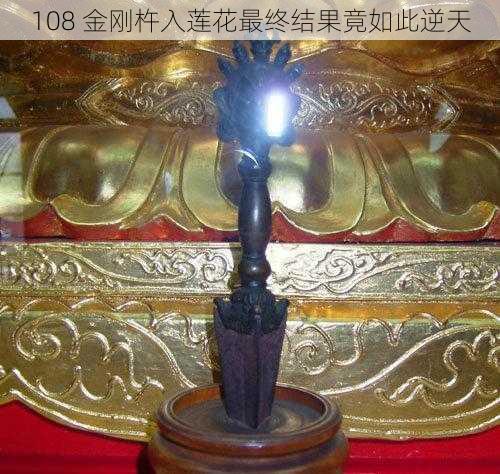 108 金刚杵入莲花最终结果竟如此逆天